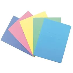 Blasetti, Kartenaufbewahrung, Schachtel mit 25 Cartex 3-Klappen-Ordnern