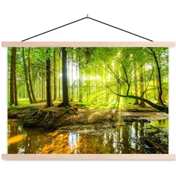 POSTER MIT MAGNETLEISTEN Wald - Landschaft - Wasser - Bäume - Sonne - Grün - Natur Wandbilder 60x40 cm
