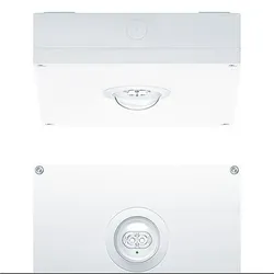 Zumtobel 42937874 Sicherheitsleuchte RESPRO MSC SPOT E3BC WH IP65
