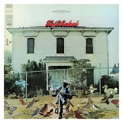 Taj Mahal, Schallplatten