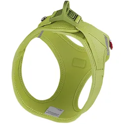 Curli Vest Hundegeschirr Clasp Air-Mesh Lime S (S, Hund, Allgemein, Spazieren), Halsband + Leine