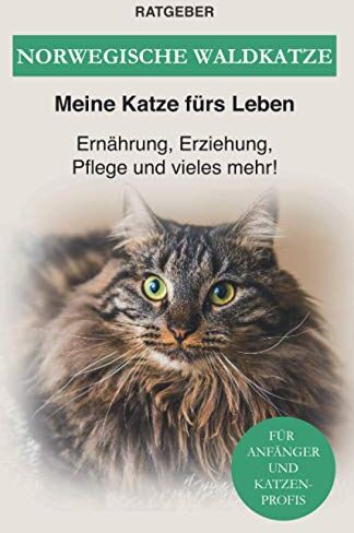 Ratgeber Meine Katze fürs Leben - Norwegische Waldkatze: Ernährung, Erziehung, Pflege und vieles mehr! - Preis vom 09.10.2026 07:28:09 h