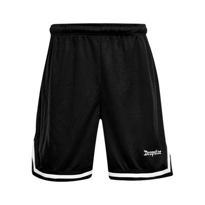 Dropsize "Dropsize Herren Dropsize Logo Mesh Shorts"