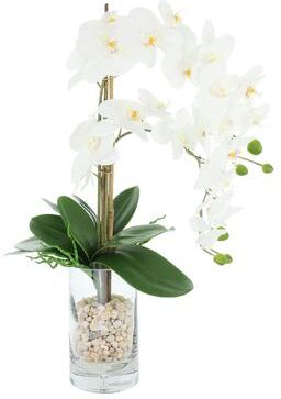 Creative Labs Orchids Arranged in Glass Vase with Rocks - 25