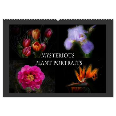 Mysterious plant portraits (Wall Calendar 2027 DIN A2 landscape), CALVENDO 12 Month Wall Calendar