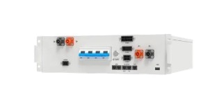 Growatt AXE 1000100-C1 BMS kommerziell