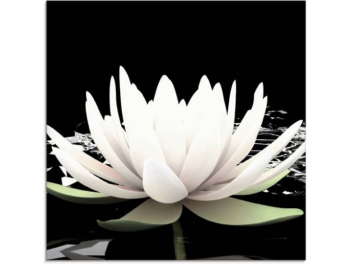 Glasbild ARTLAND Zwei Lotusblumen auf dem Wasser , schwarz (farbe bild(er): schwarz), B:20cm H:20cm, Bilder, Glasbild, in verschiedenen Grössen