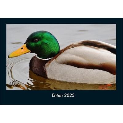 Enten 2025 Fotokalender DIN A4