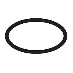 hansgrohe O-Ring 17 x 2 mm 98199000