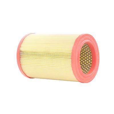 RIDEX Luftfilter ALFA ROMEO 8A0391 51843850,6000633308,0051843850 Motorluftfilter,Filter für Luft