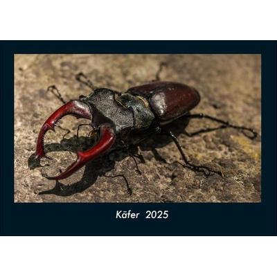 Käfer 2025 Fotokalender DIN A4