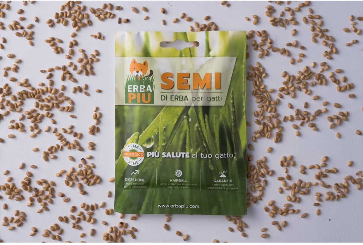 ERBA PIU Erba Più Semi di Erba per Gatto 1PZ