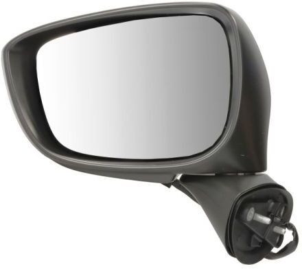 BLIC 5402-14-1905316P Wing mirror