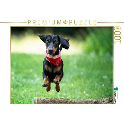 CALVENDO Puzzle Der fliegende Dackel | 1000 Teile Lege-Größe 64x48cm Foto-Puzzle für glückliche Stunden