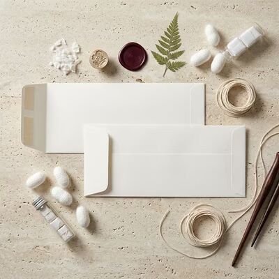 ClearBags "#10 Policy Premium Envelopes, Natural 4 1/8"" x 9 1/2"" 50 pack"