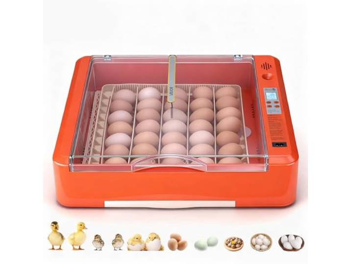VEVOR Couveuse Œuf Automatique 36 Œufs de Poule Incubateur Œuf pour Éclosion Œufs de Volaille Poussins Canetons Oies Cailles\, Mire LED Bac à Eau Contrôle Température Humidité Fenêtre Transparente 360°