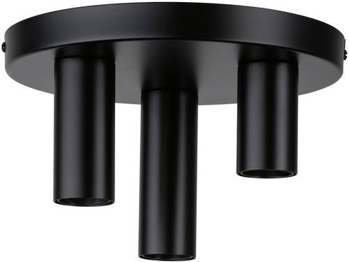 Paulmann 79761 Deckenleuchte E27 Schwarz