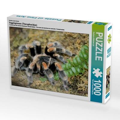CALVENDO Puzzle Ein Motiv aus dem Kalender Vogelspinnen (Theraphosidae) | 1000 Teile Lege-Größe 64x48cm Foto-Puzzle für glückliche Stunden