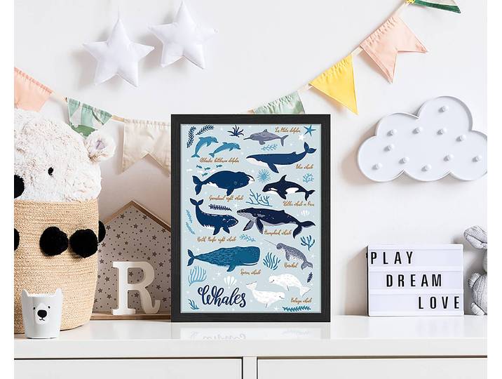Tableau déco All Kind Of Whales 33 x 43cm Multicolore