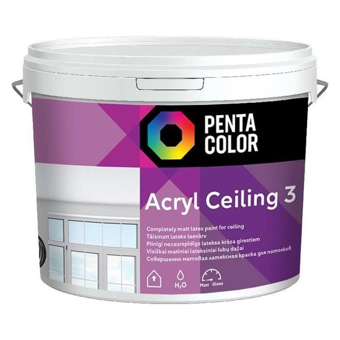 Pentacolor Dispersion Paint Acryl 3 (10000 ml) (36519263)