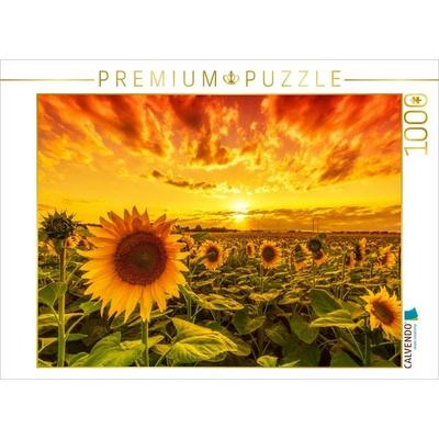 CALVENDO Puzzle Sonnenblumenfeld in Reform | 1000 Teile Lege-Größe 64x48cm Foto-Puzzle für glückliche Stunden