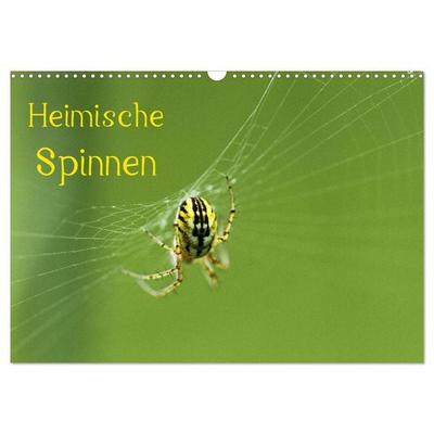 Heimische Spinnen (Wandkalender 2026 DIN A3 quer), CALVENDO Monatskalender
