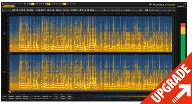 Acon Digital Acoustica 8 Standard UPG St. 7