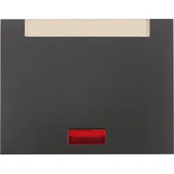 Berker Wippe Linsen 14157106