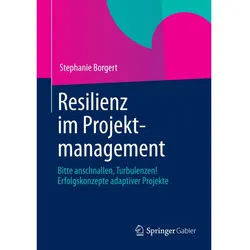 Resilienz im Projektmanagement, Fachbücher von Stephanie Borgert