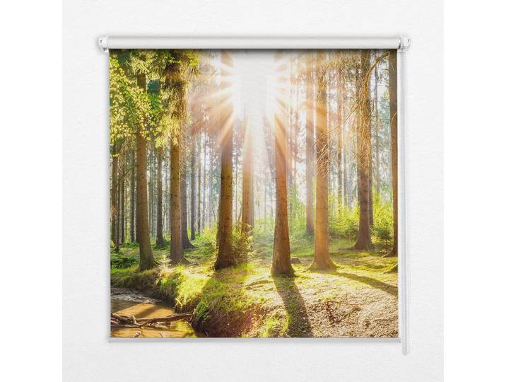 INNENROLLO - Fensterrollo - Rollo - 60x40 cm - Die Sonne bricht durch die Bäume.