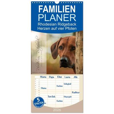 Familienplaner 2026 - Rhodesian Ridgeback - Herzen auf vier Pfoten mit 5 Spalten (Wandkalender, 21 x 45 cm) CALVENDO