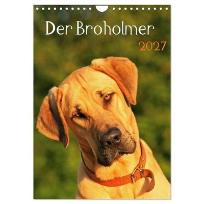 Der Broholmer (Wandkalender 2027 DIN A4 hoch), CALVENDO Monatskalender