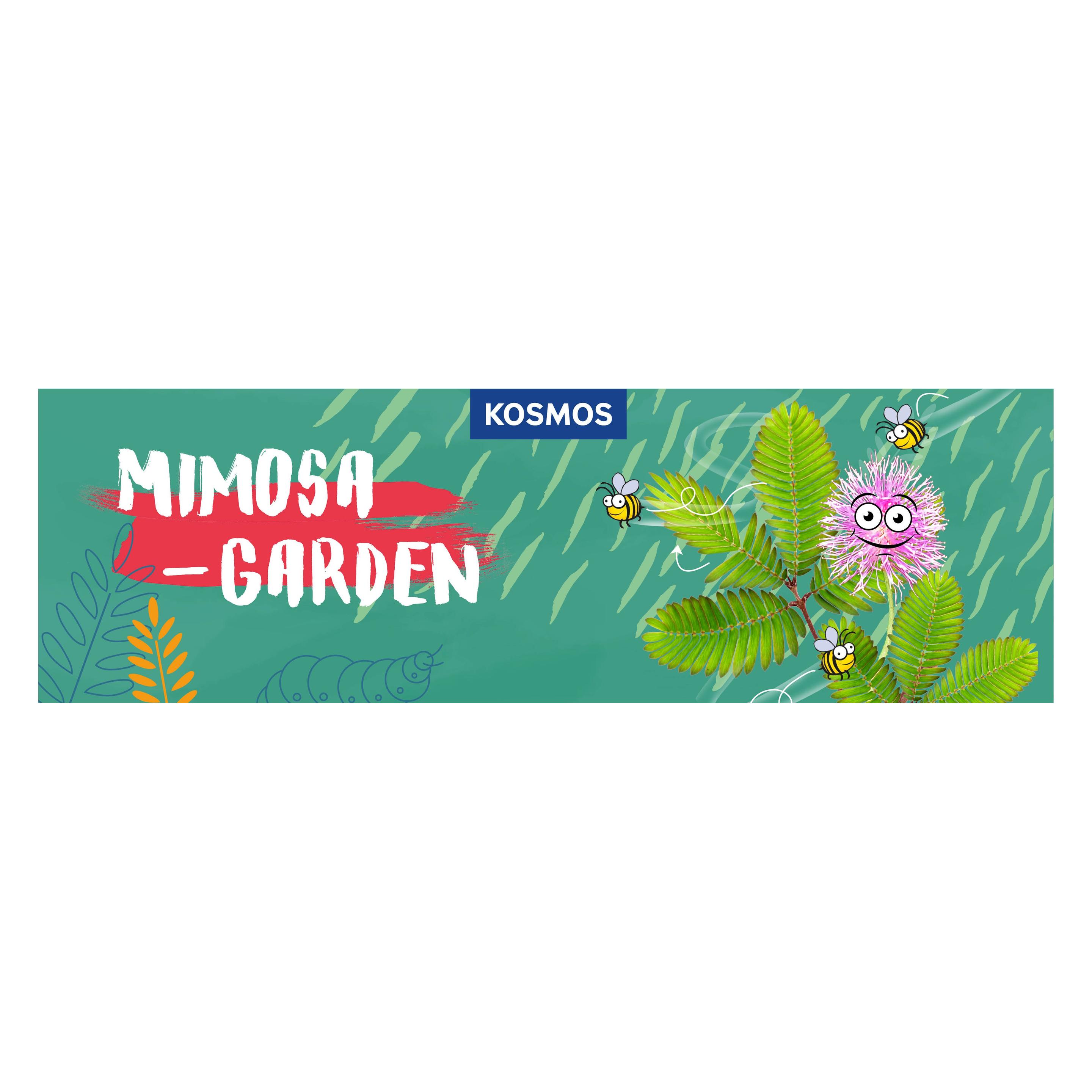 Kosmos MBE Mimosa Garden INT (617509)