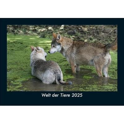 Welt der Tiere 2025 Fotokalender DIN A5