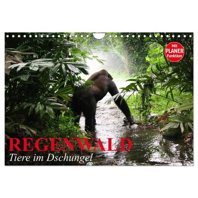 Regenwald. Tiere im Dschungel (Wandkalender 2026 DIN A4 quer), CALVENDO Monatskalender