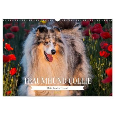 Traumhund Collie - Mein bester Freund (Wandkalender 2027 DIN A3 quer), CALVENDO Monatskalender
