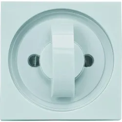 Rademacher 70000037 Gira Abdeckplatte mit Symbolscheibe AL 2656-AL 2656AL