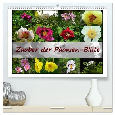 Zauber der Päonien-Blüte (hochwertiger Premium Wandkalender 2027 DIN A2 quer), Kunstdruck in Hochglanz