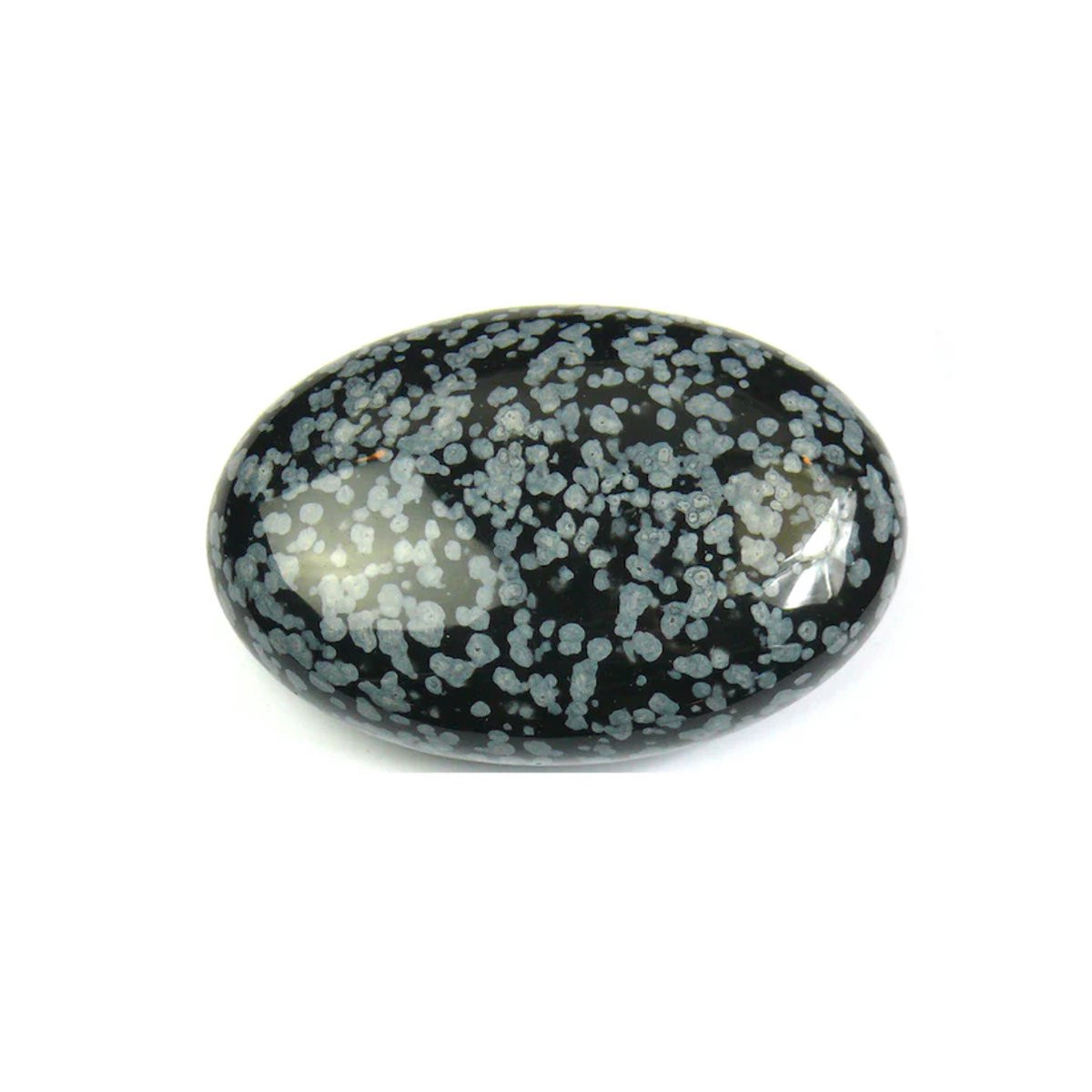 Ovale steen Sneeuwvlok Obsidiaan Palmsteen