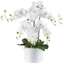 CREATIV green künstliche Pflanze Phalaenopsis, 60cm, "Real Touch"