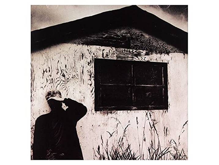 Bruce Cockburn - Nothing But A Burning Lig