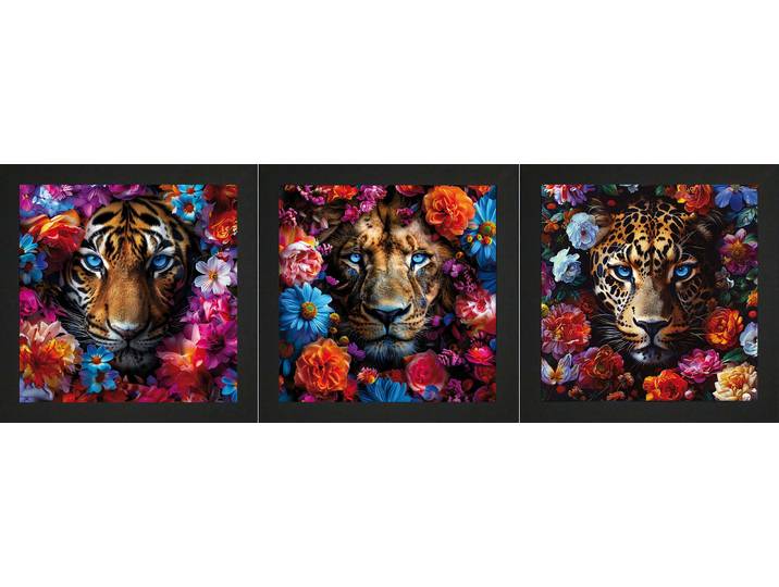 Bild mit Rahmen BÖNNINGHOFF 3er-Set gerahmte Bilder TIGER LÖWE 3x23x23 cm – Tiermotiv modern , orange (farbe rahmen: schwarz, farbe bild(er): orange, blau, rosa, pink, lila), B:23cm H:23cm T:2,1cm, MDF, Papier, Bilder, Bild mit Rahmen, mehrteiliges Bilder-Set, harmonisch aufeinander abgestimmt