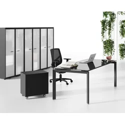 Arbeitszimmer Büroeinrichtung komplett Set Lewo 5
