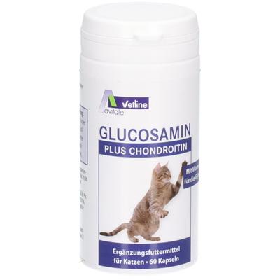 Glucosamin+Chondroitin Kapseln f.Katzen 60 St
