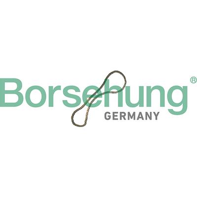 BORSEHUNG Steuerkette b12769 für VAG