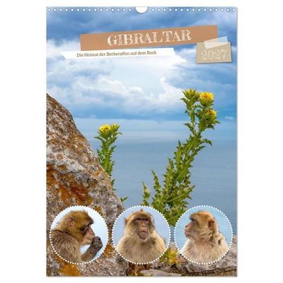 Gibraltar - Die Heimat der Berberaffen auf dem Rock (Wandkalender 2027 DIN A3 hoch), CALVENDO Monatskalender