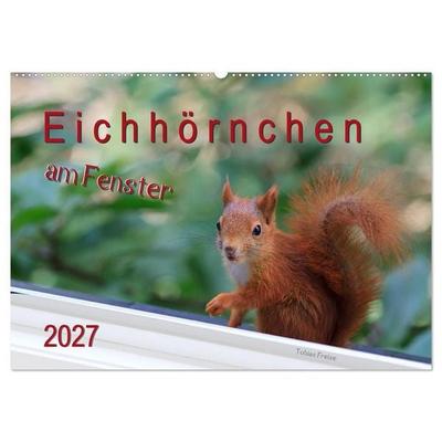 Eichhörnchen am Fenster (Wandkalender 2027 DIN A2 quer), CALVENDO Monatskalender