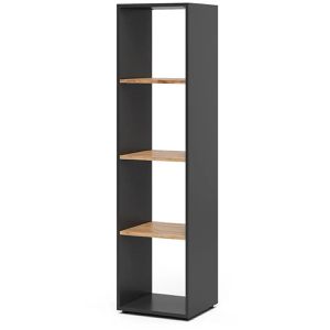 Vicco Bücherregal Ludus, anthrazit / eiche, aus Holz, 4 Fächer, 37 x 145 x 34cm