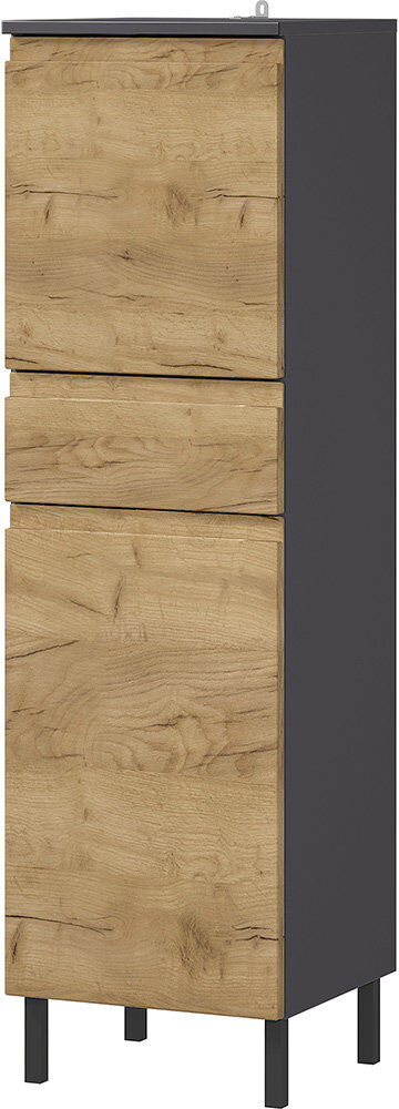 Latitude Run Musson Freestanding Bathroom Cabinet Graphite/Grandson Oak 120.2cm H X 34cm W X 34cm D