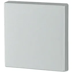 Eaton 172991 Wippe 1-fach, silber glänzend CWIZ-01/33
